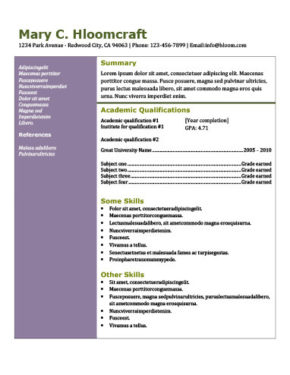 colour resume format functional resume definition format layout 60 exles colour resume format functional resume definition format layout 60 exles