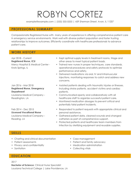 Professional Resume Examples By Industry Tips Hloom