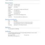 biodata what it is 7 biodata resume templates hloom what is the meaning of bio data