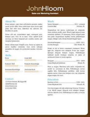 combination resume definition format