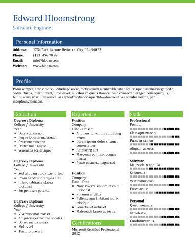 Full Page Resume Template