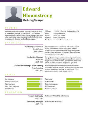 combination resume definition format layout 117 examples hloom resume templates modern