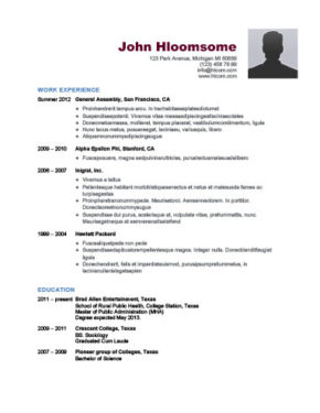 chronological resume definition format layout 103 examples uw cv template