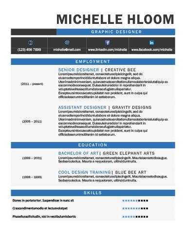 Graphic Resume Template