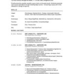 top 10 best resume templates ever free for microsoft word best resume example