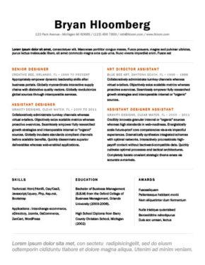 combination resume definition format layout 117 examples resume combination format