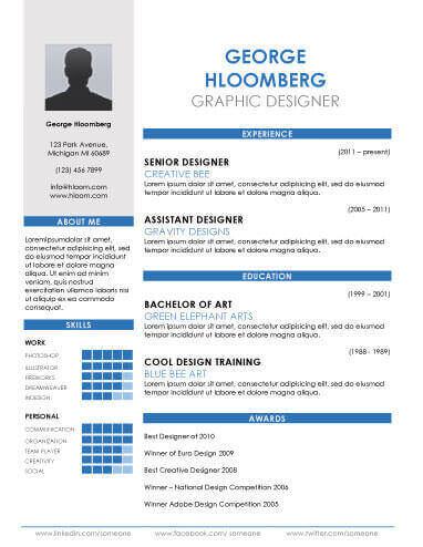 17 Infographic Resume Templates [Free Download]  Hloom