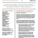 22 contemporary resume templates
