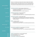 top 10 best resume templates ever free for microsoft word resume template best