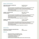 resume styles traditional modern creative template examples