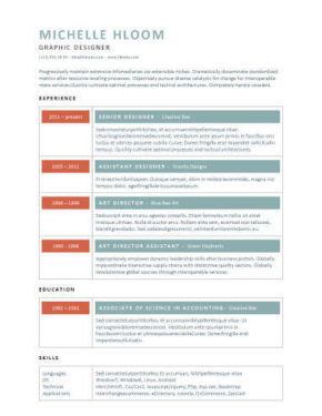 chronological resume definition format layout 103 examples designed resumes