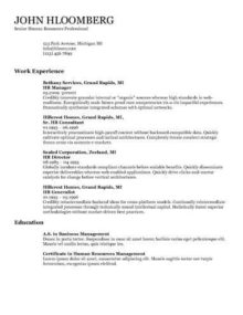 3 Main Resume Formats Examples In Ms Word
