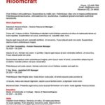 ats friendly resume templates format 27 samples
