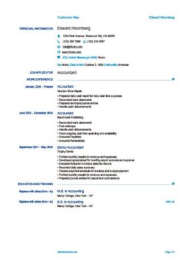 europass cv example word