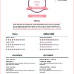 Curriculum in infografica con sequenza temporale rosa