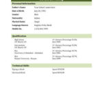 biodata what it is 7 biodata resume templates