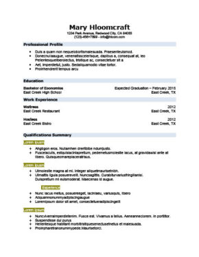 functional resume definition format layout 60 examples