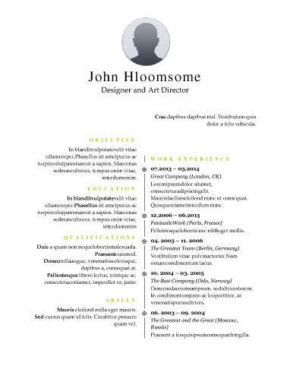 combination resume definition format layout 117 examples