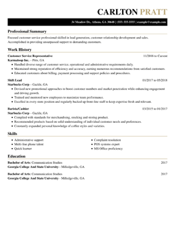 resume template professional