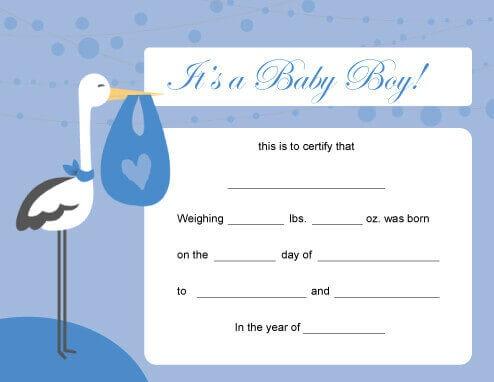 Baby Boy Birth Certificate