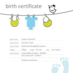 Cute Printable Birth Certificate