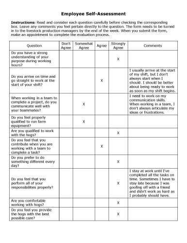 Download Microsoft Office Employee Evaluation Template free software ...