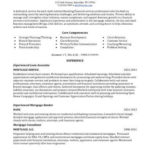 resume styles traditional modern creative template examples