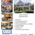 Real Estate Flyer with real estate agent information