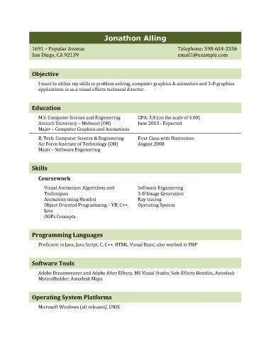 IT Professional Resume Template
