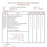 Indian University Degree Certificate