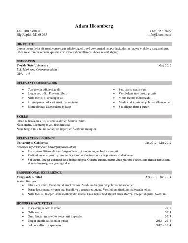 Internship Resume Template 5