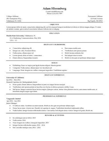 Internship Resume Template 6