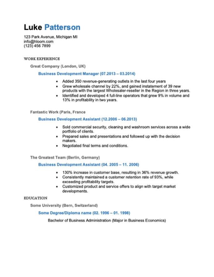 Business Development Manager Chronological Resume Template