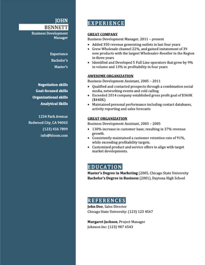 Business Development Manager Combination Resume Template