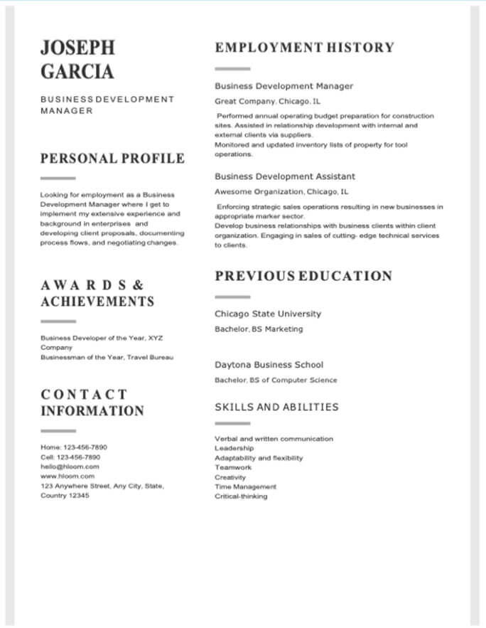 Business Development Manager Functional Resume Template