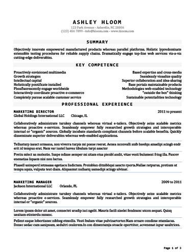 Business Marketing Director Resume Template