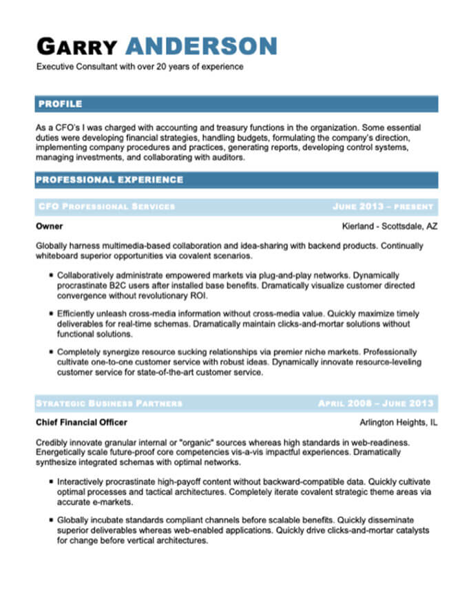 Chief Financial Officer Resume Template