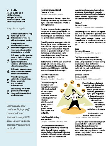 Multitasking Director of Sales Resume Template