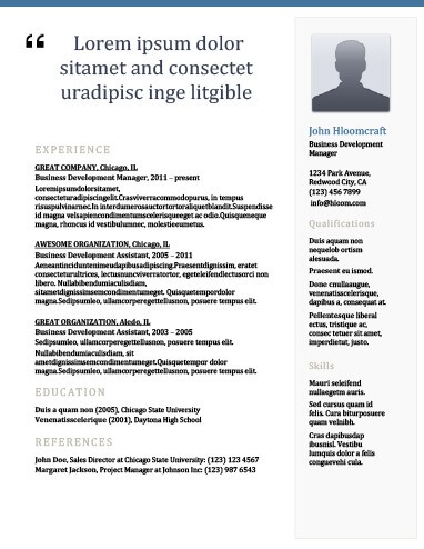 Newsletter Experienced Business Development Manager Resume Example