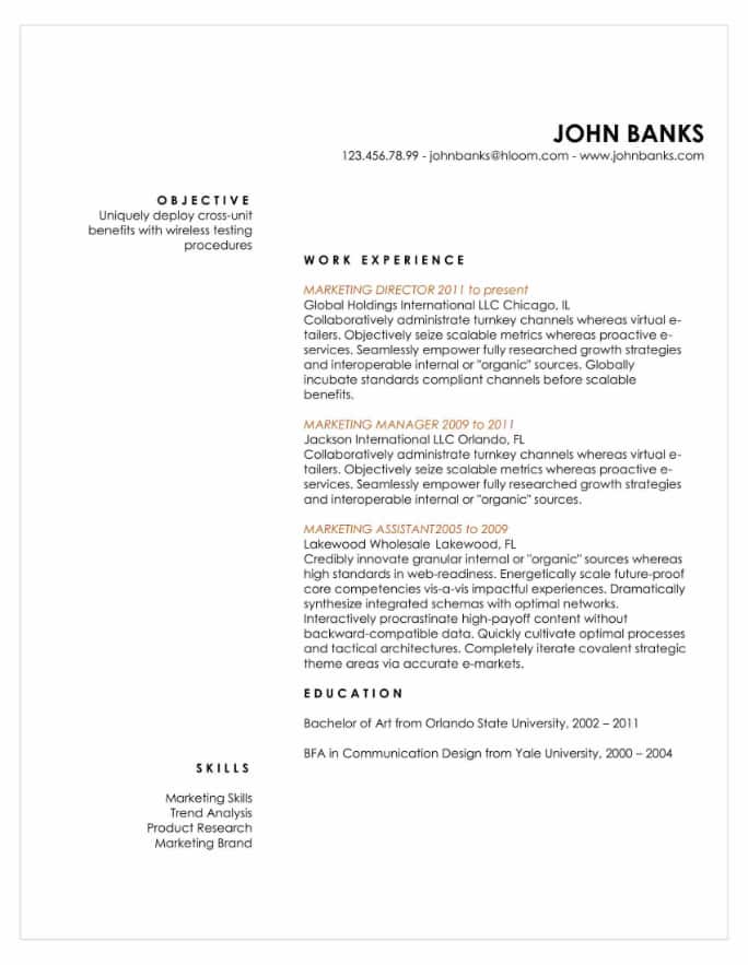 Experienced Marketing Director Resume Example