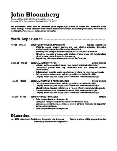 Experienced Sales and Marketing Director Resume Template