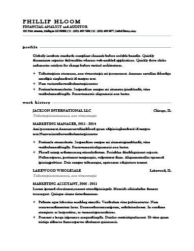 Financial Analyst and Auditor Resume Template