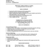 Functional Resume for Young Teacher Example