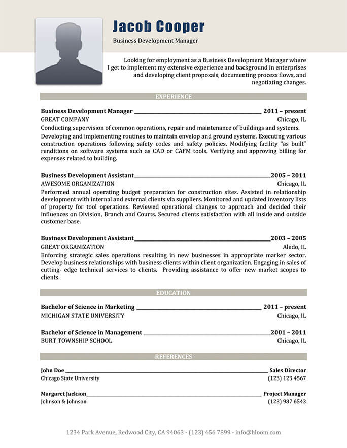 All Business Resume Template