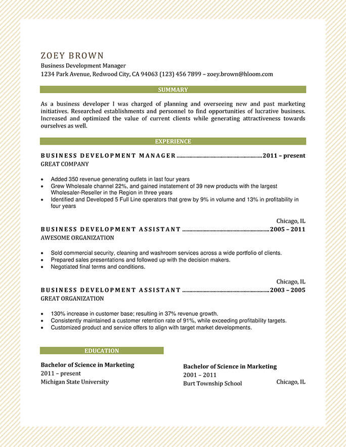 Business Development Manager Chronological Resume Sample