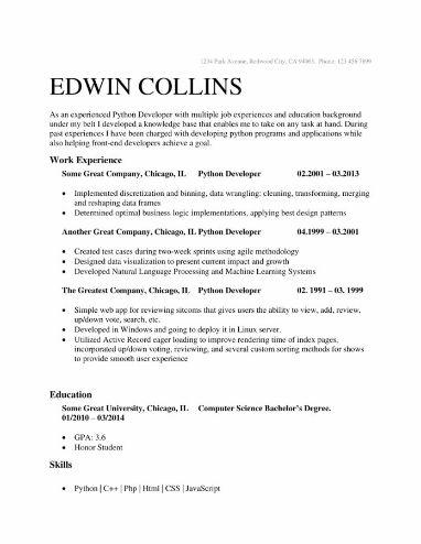 Point Resume Template