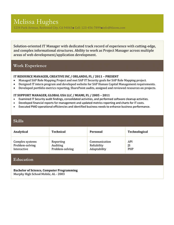 IT Resource Manager Resume Example