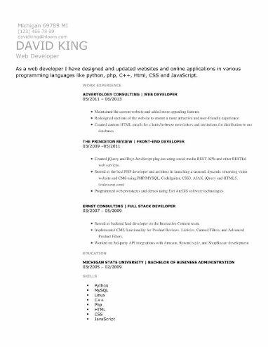 Technical Specialist Resume Template