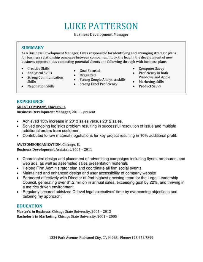 Business Development Manager Resume Example