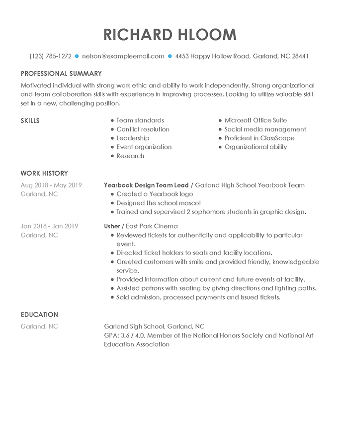 Qualified theme resume example image